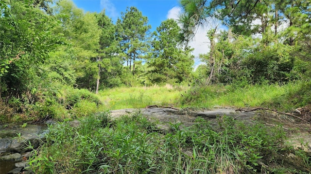 TBD Walker Ln, Huntsville, TX 77320 - photo 12