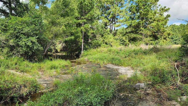 TBD Walker Ln, Huntsville, TX 77320 - photo 13