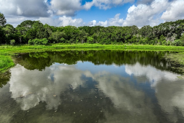 TRACT2 S Nassau Rd, Round Top, TX 78954 - photo 2