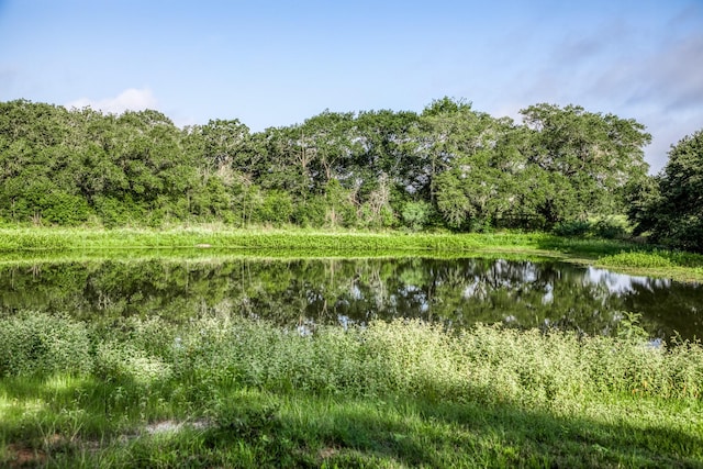 TRACT2 S Nassau Rd, Round Top, TX 78954 - photo 3