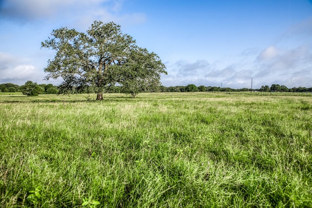 TRACT2 S Nassau Rd, Round Top, TX 78954 - photo 4