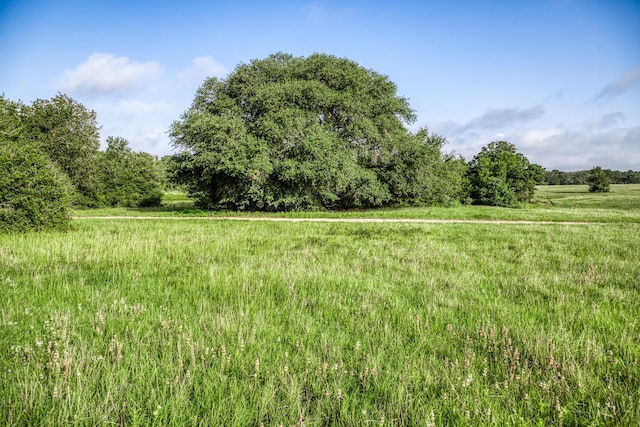 TRACT2 S Nassau Rd, Round Top, TX 78954 - photo 6