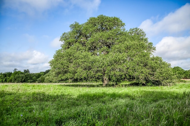 TRACT2 S Nassau Rd, Round Top, TX 78954 - photo 7