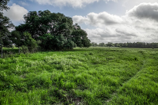 TRACT2 S Nassau Rd, Round Top, TX 78954 - photo 8