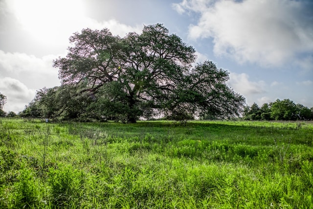 TRACT2 S Nassau Rd, Round Top, TX 78954 - photo 9