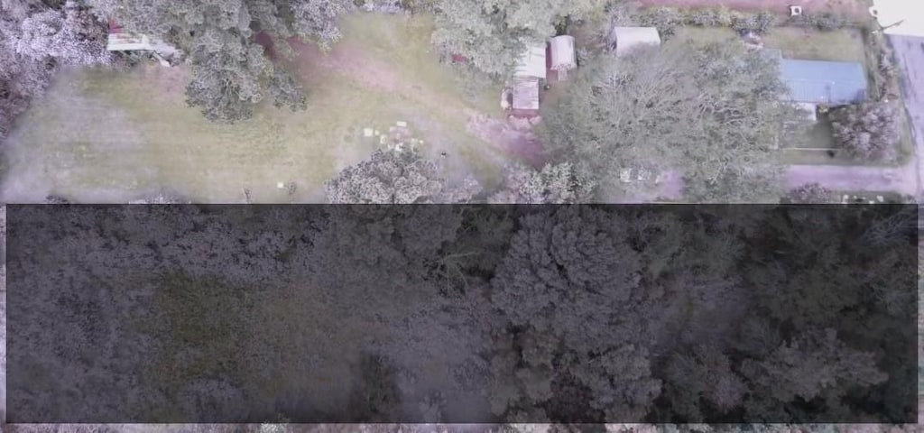 407 1st St, Willis, TX 77378 - photo 2