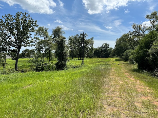 000 Hickory Loop, Thornton, TX 76687 - photo 1
