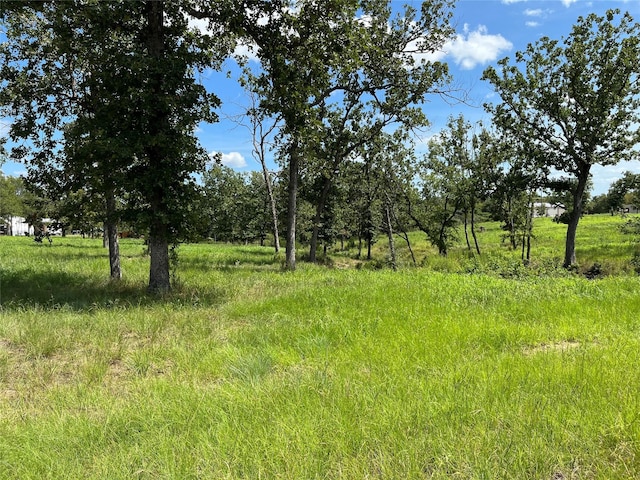 000 Hickory Loop, Thornton, TX 76687 - photo 2