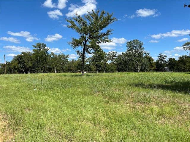 000 Hickory Loop, Thornton, TX 76687 - photo 3