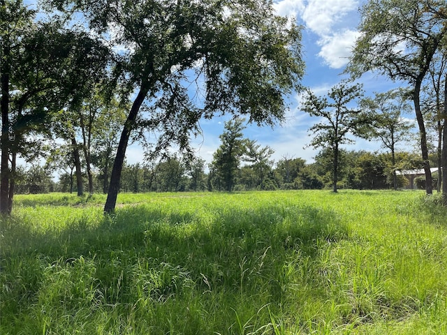 000 Hickory Loop, Thornton, TX 76687 - photo 4