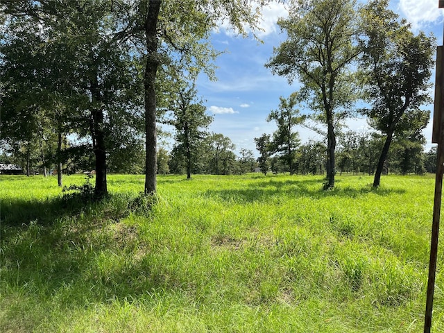 000 Hickory Loop, Thornton, TX 76687 - photo 5