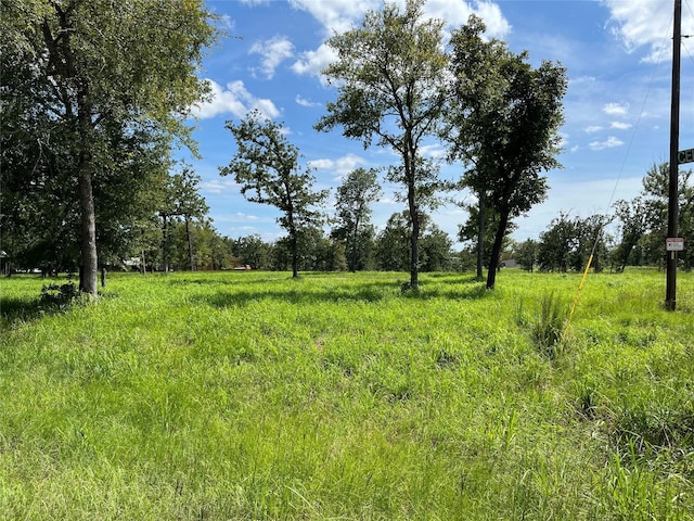 000 Hickory Loop, Thornton, TX 76687 - photo 7