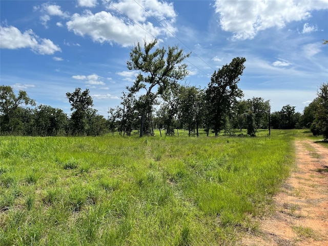 000 Hickory Loop, Thornton, TX 76687 - photo 8
