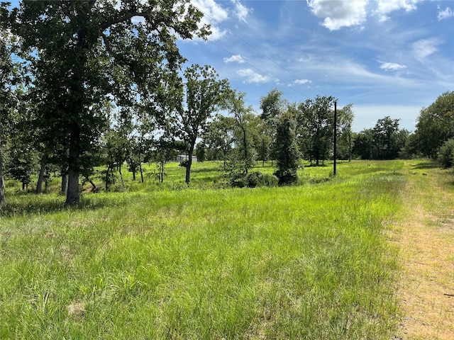 000 Hickory Loop, Thornton, TX 76687 - photo 9