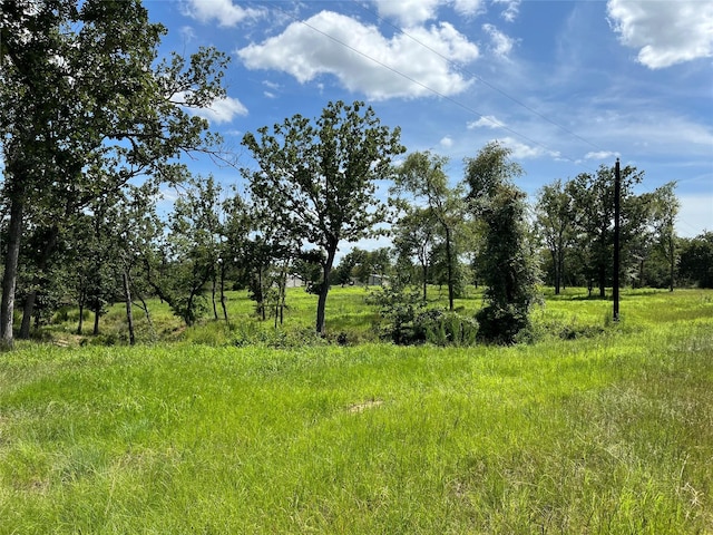 000 Hickory Loop, Thornton, TX 76687 - photo 10