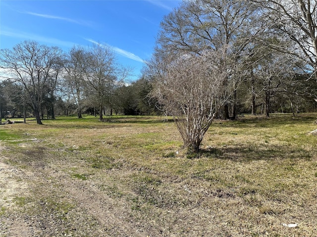 0 W Sealy St, Alvin, TX 77511 - photo 1