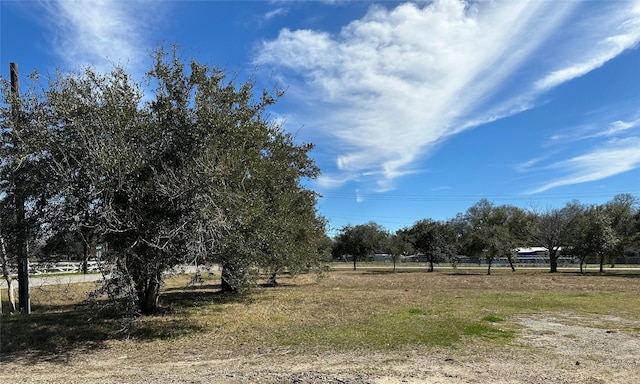 0 W Sealy St, Alvin, TX 77511 - photo 3