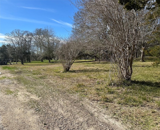0 W Sealy St, Alvin, TX 77511 - photo 6