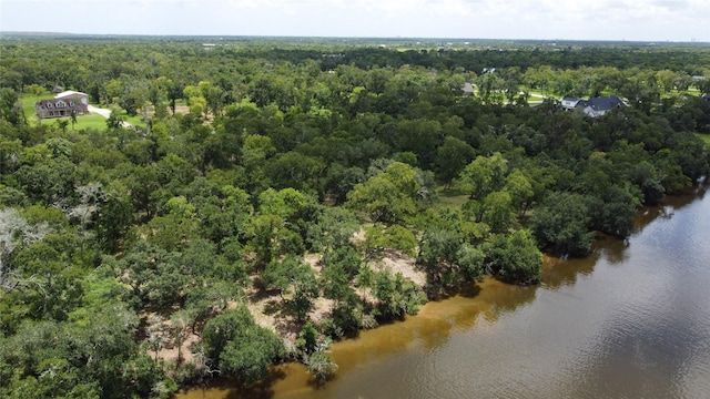32126 Bayou Bnd, Richwood, TX 77515 - photo 5