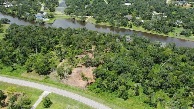 32126 Bayou Bnd, Richwood, TX 77515 - photo 6