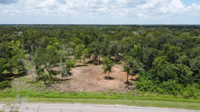 32126 Bayou Bnd, Richwood, TX 77515 - photo 8