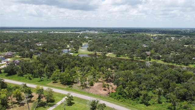 32126 Bayou Bnd, Richwood, TX 77515 - photo 7
