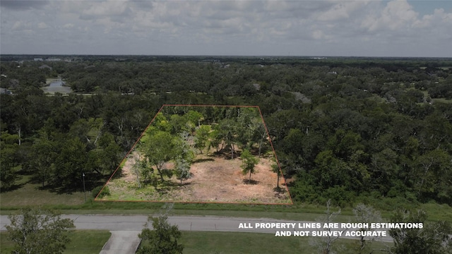 32126 Bayou Bnd, Richwood, TX 77515 - photo 3