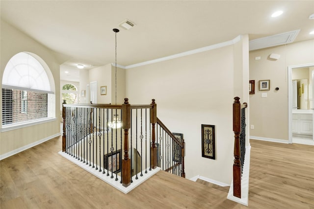 6115 Tarra Firma Dr, Spring, TX 77379 - photo 17