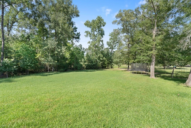 220 Southcrest Ct, Livingston, TX 77351 - photo 31