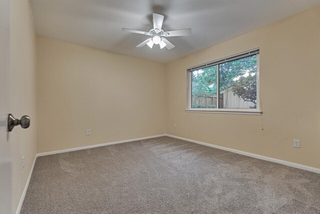 12239 Briar Forest Dr, Houston, TX 77077 - photo 39