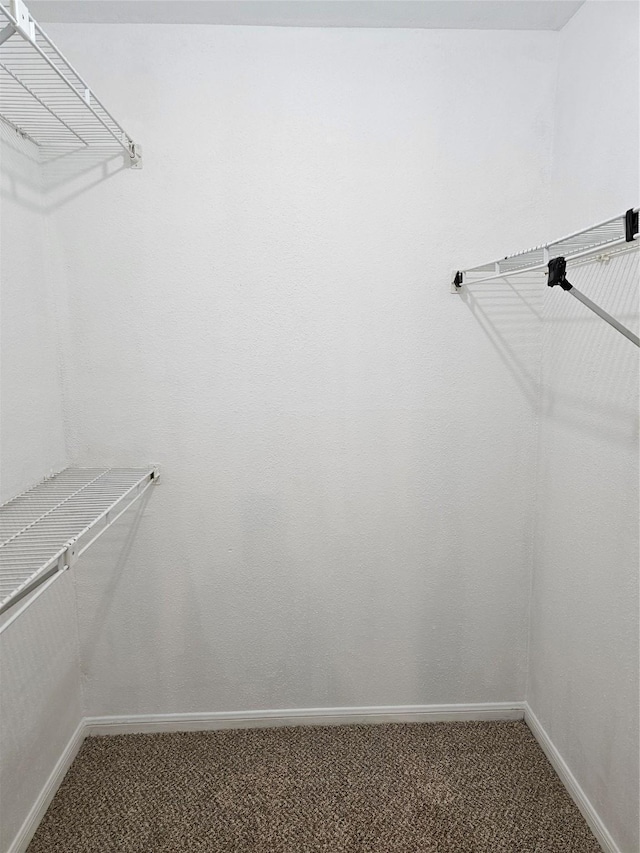 9850 Pagewood Ln Unit 1303, Houston, TX 77042 - photo 13