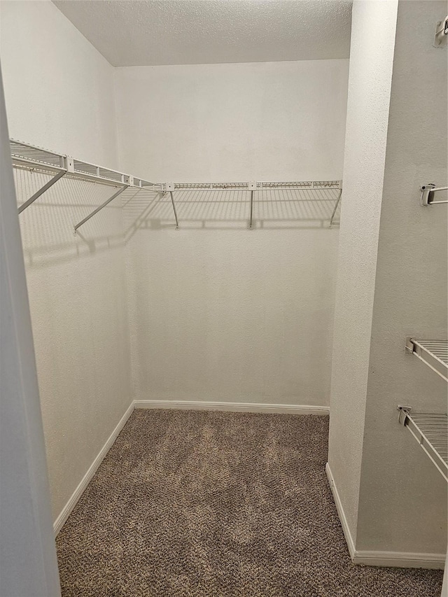 9850 Pagewood Ln Unit 1303, Houston, TX 77042 - photo 10