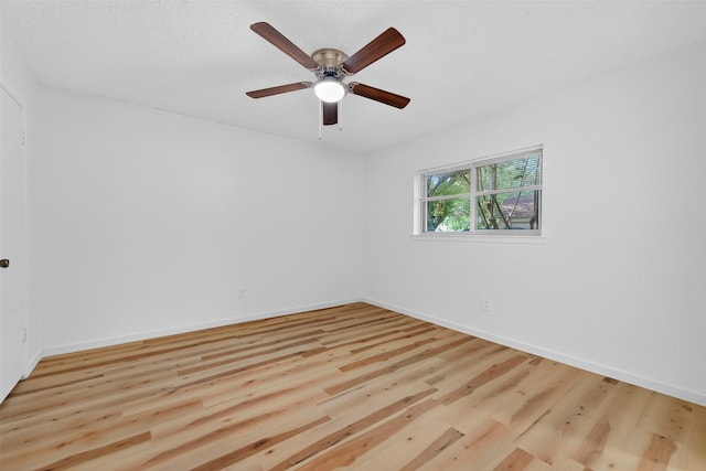 8022 Tamayo Dr, Houston, TX 77083 - photo 34