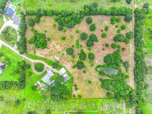 7765 Pigeon Dr, Hitchcock, TX 77563 - photo 4