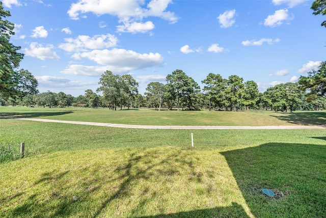 23 Presidio Rd, Montgomery, TX 77356 - photo 3