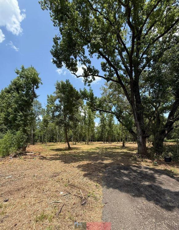 0 Walters Rd, Ames, TX 77575 - photo 2