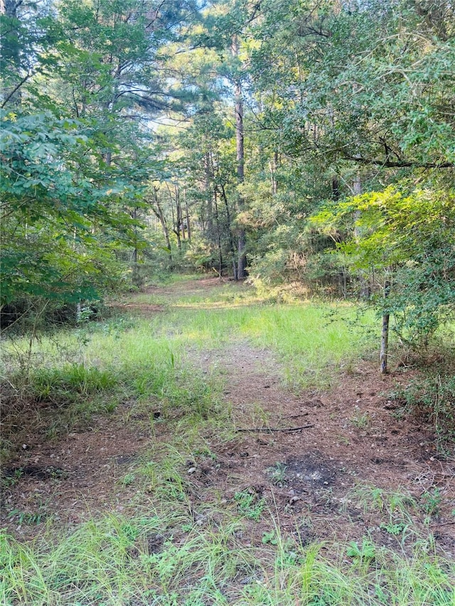 TBD Willow Creek, Huntsville, TX 77340 - photo 7
