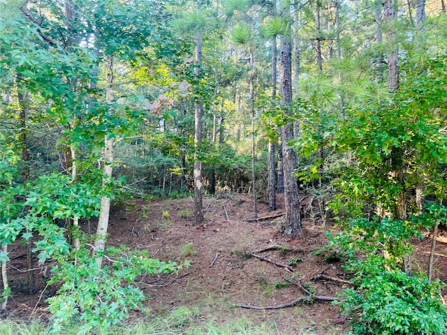 TBD Willow Creek, Huntsville, TX 77340 - photo 1
