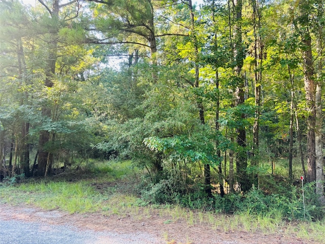 TBD Willow Creek, Huntsville, TX 77340 - photo 2