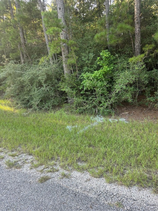 TBD Willow Creek, Huntsville, TX 77340 - photo 3
