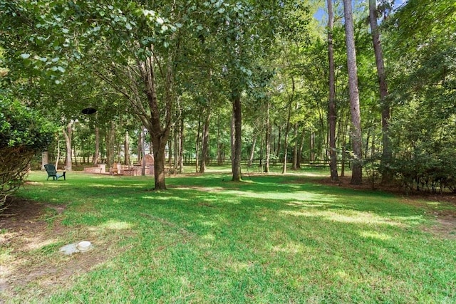 28822 Village Bnd, Magnolia, TX 77355 - photo 30