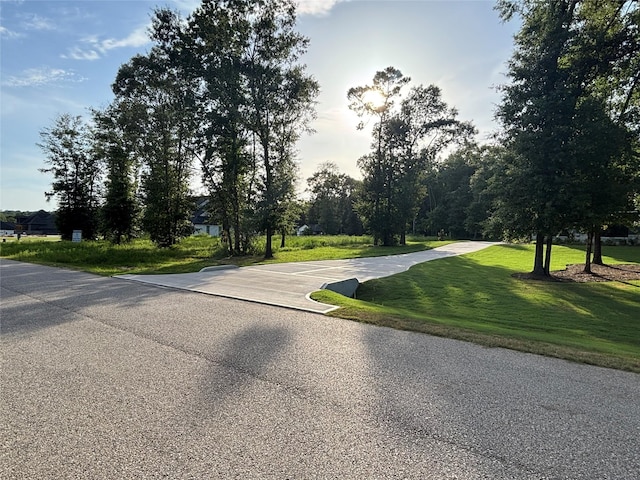50 Quiet Springs Trl, Willis, TX 77378 - photo 6