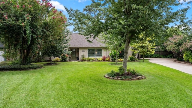10159 Hazelhurst Dr, Houston, TX 77043 - photo 2