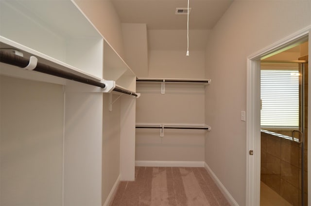 4 Florentino Vine Pl, The Woodlands, TX 77354 - photo 29