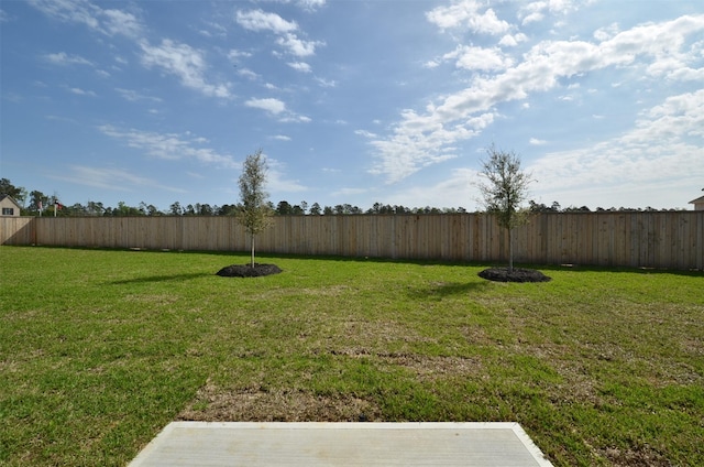 4 Florentino Vine Pl, The Woodlands, TX 77354 - photo 36