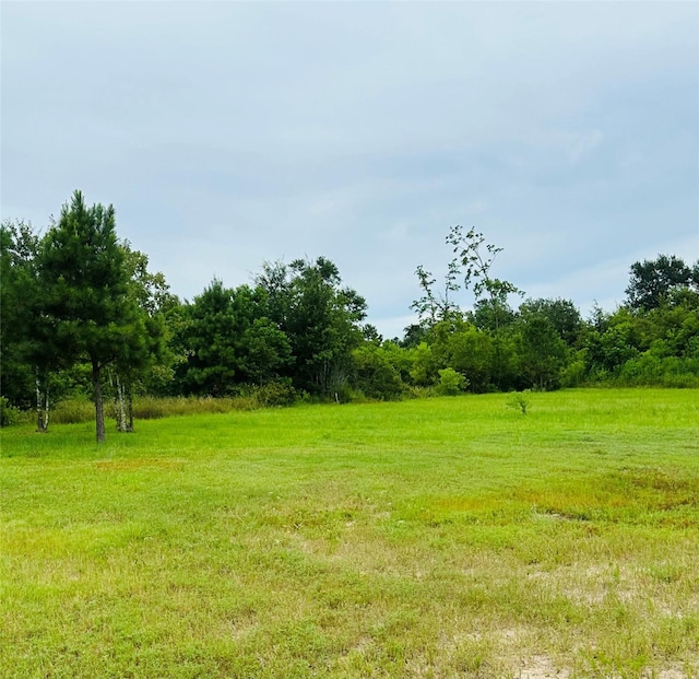 317 Rd 5138, Cleveland, TX 77327 - photo 19