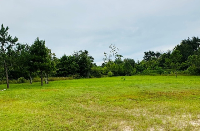 317 Rd 5138, Cleveland, TX 77327 - photo 20