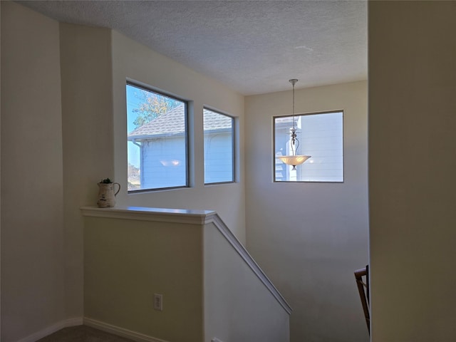 3716 N Becca Ln, Houston, TX 77092 - photo 13