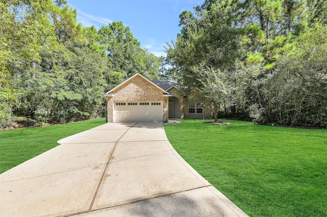 1310 Beech Dr, Conroe, TX 77385 - photo 22
