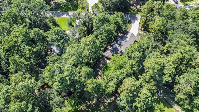 1310 Beech Dr, Conroe, TX 77385 - photo 23